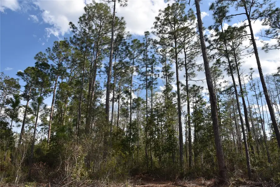 Off Sun Garden Rd, Palatka, FL 32177 - Image #2