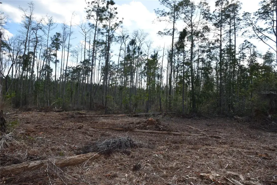 Off Sun Garden Rd, Palatka, FL 32177 - Image #3