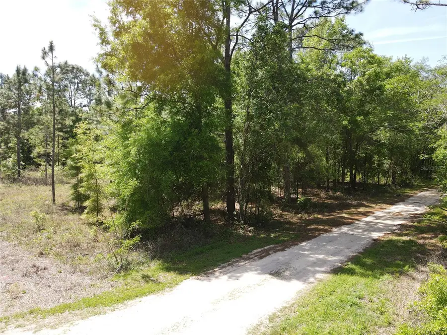 SW 29 Lane, Ocala, FL 34481 - Image #2