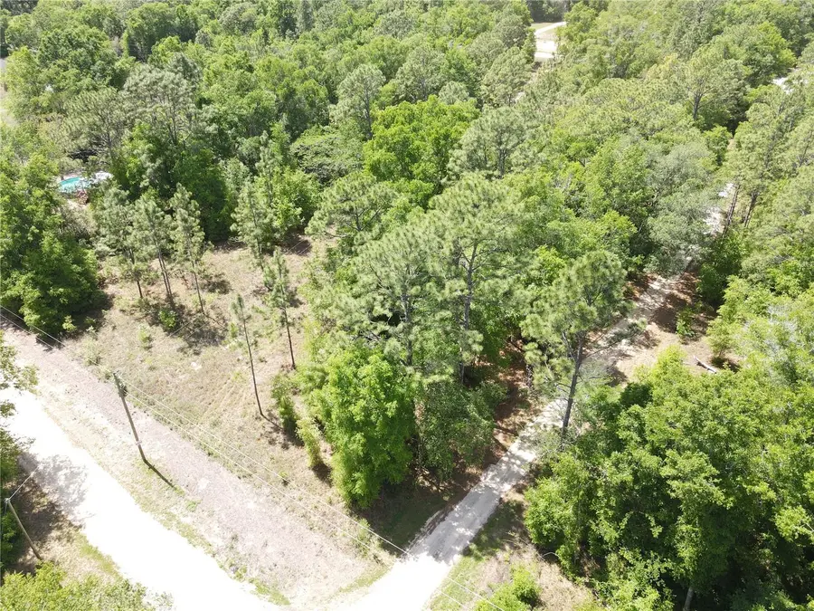 SW 29 Lane, Ocala, FL 34481 - Image #3