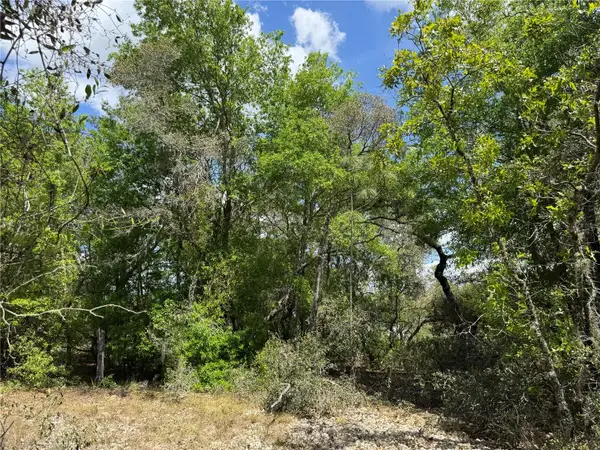 TBD SW Big Bear Ridge, DUNNELLON, FL 34431