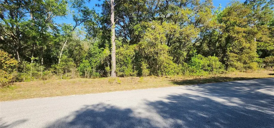 TBD SW Viburnum Road, Dunnellon, FL 34431 - #3