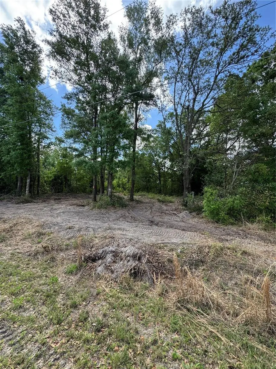 NW 4th Street, Ocala, FL 34482 - Image #2