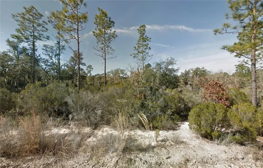 Ne 100th Ave, Bronson, FL 32621 - Image #3