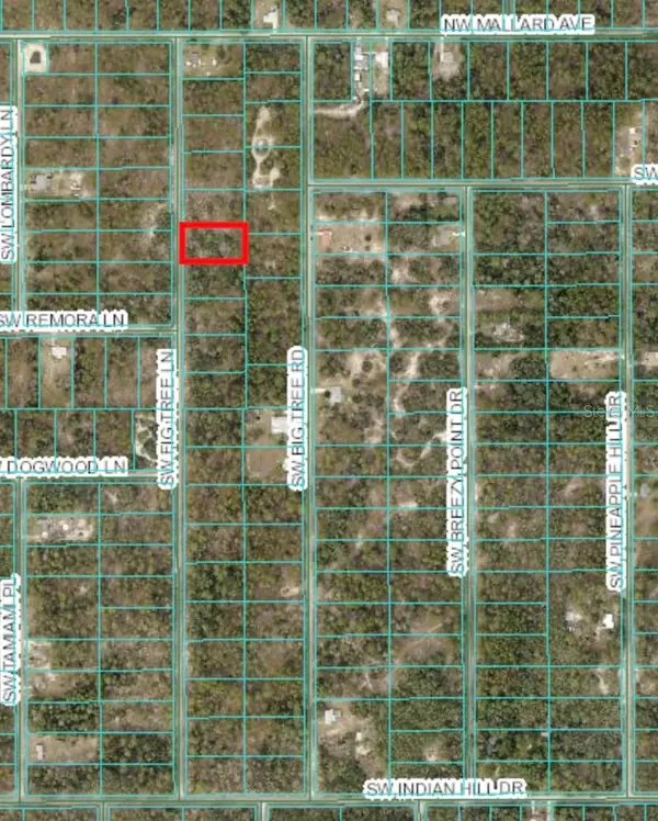 TBD SW Fig Tree Ln, DUNNELLON, FL 34431
