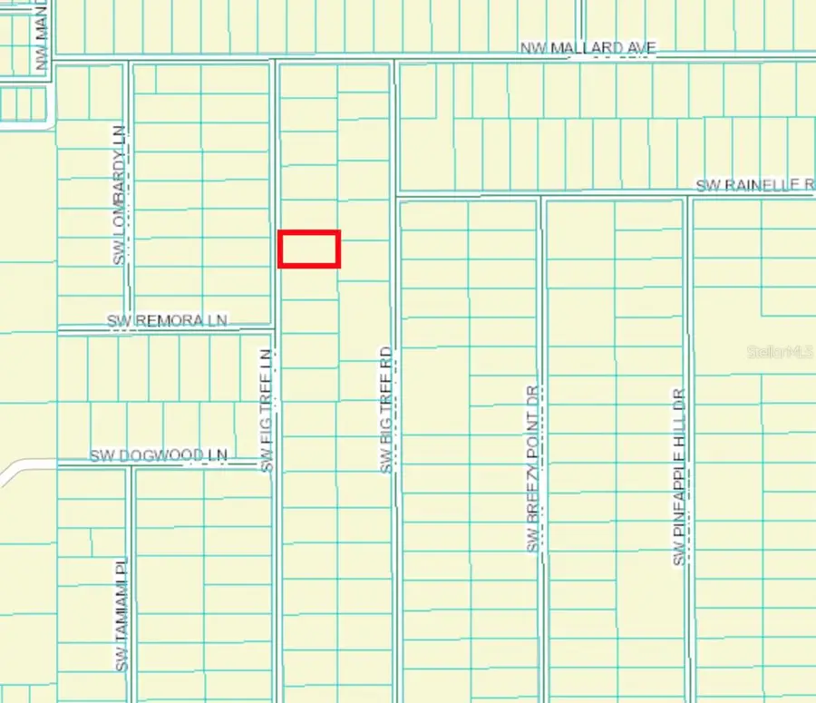 TBD SW Fig Tree Ln, Dunnellon, FL 34431 - #2