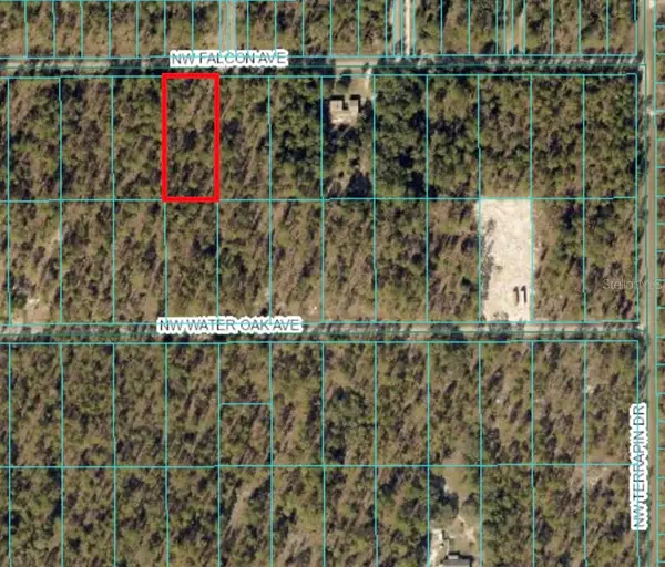 TBD NW Falcon Avenue, DUNNELLON, FL 34431