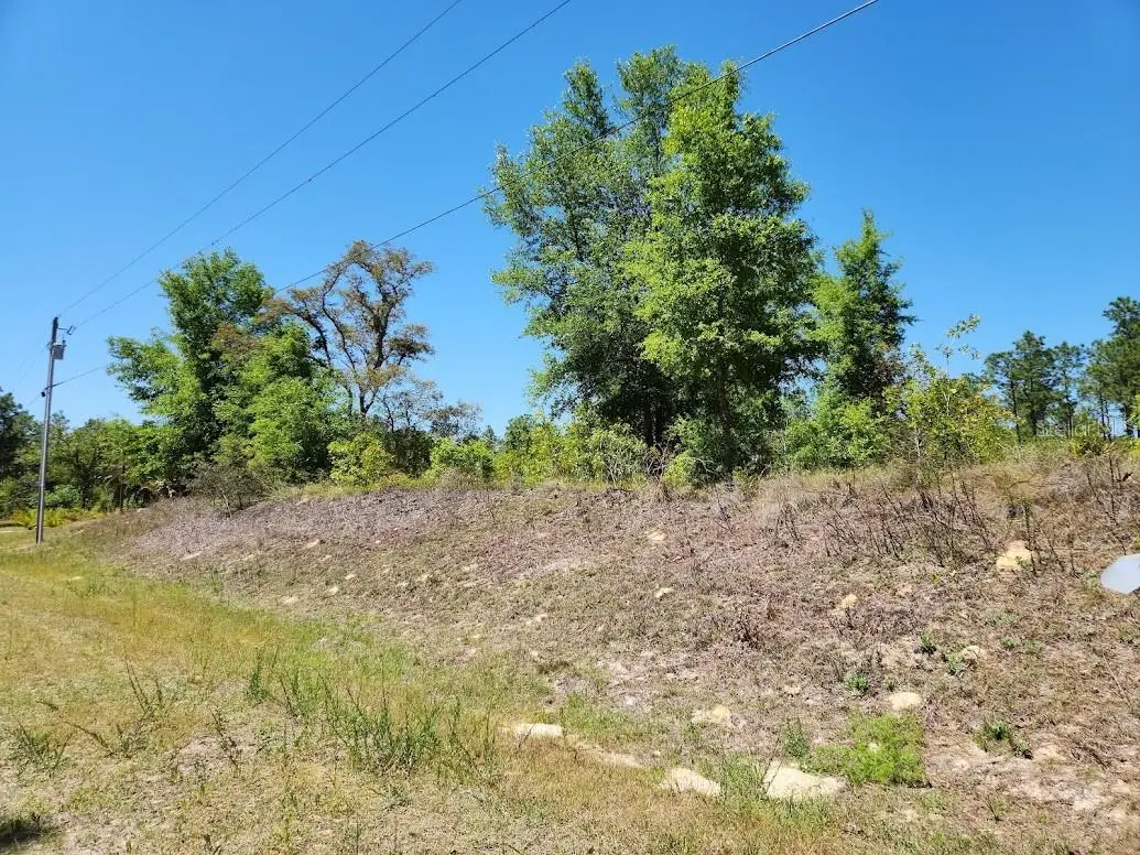 lot 5 SW 64th Lane, Ocala, FL 34481 - Image #1