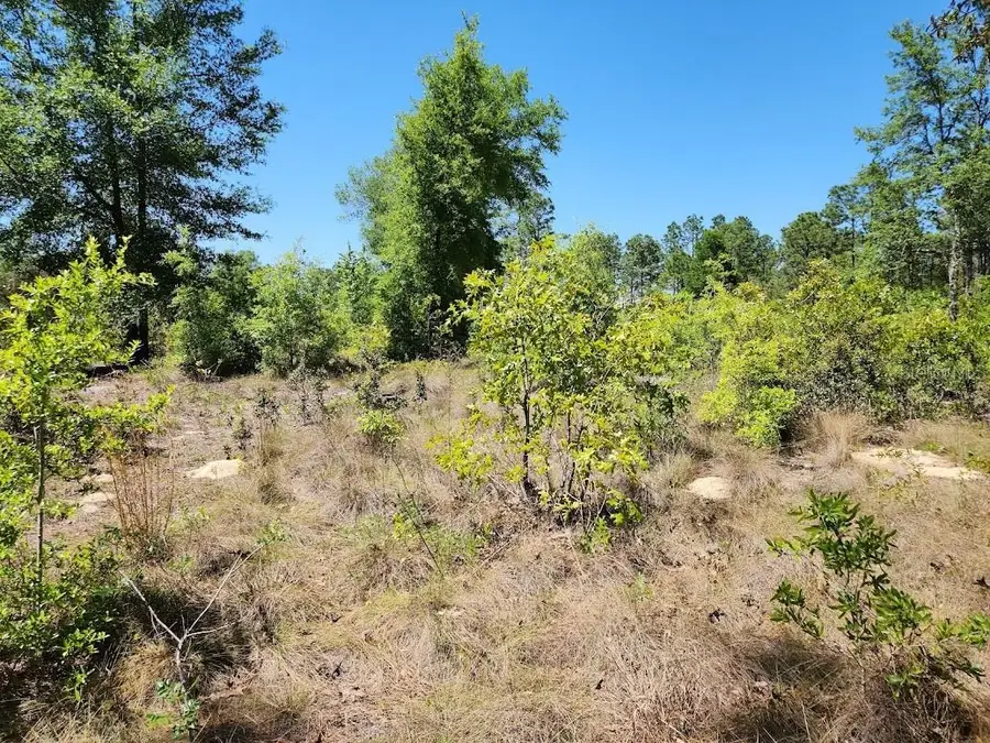 lot 5 SW 64th Lane, Ocala, FL 34481 - Image #3