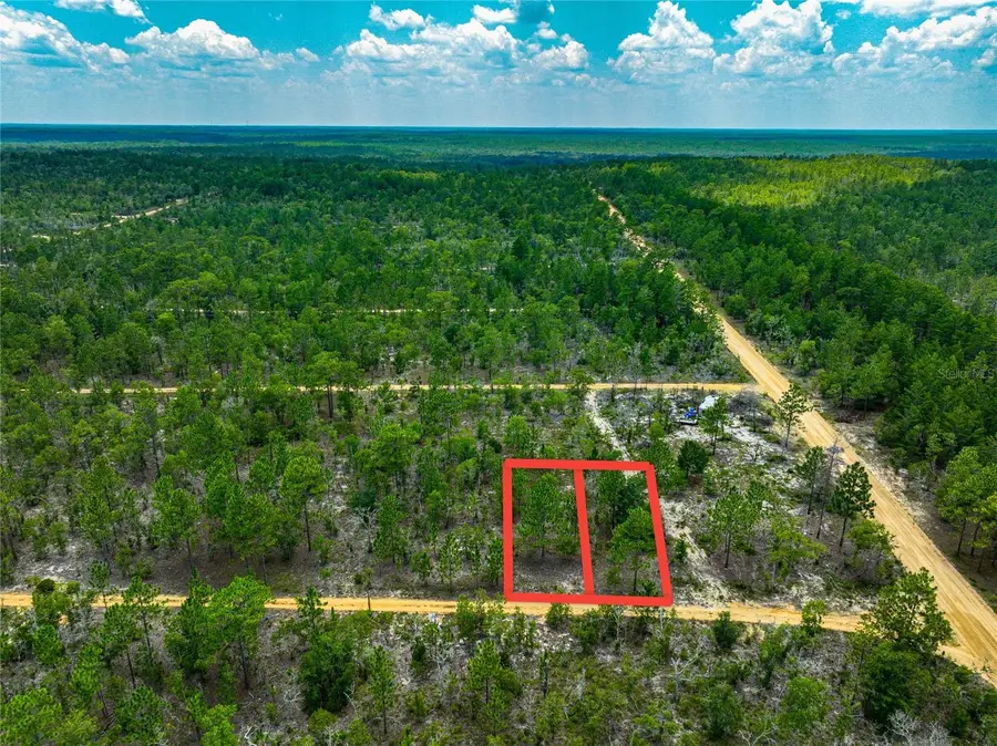 Lime Way, Interlachen, FL 32148 - #2