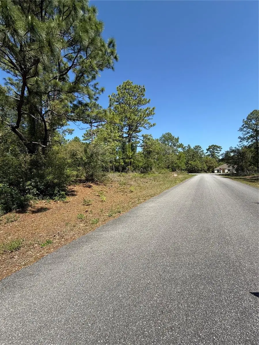 6526 N Shafton Terrace, Citrus Springs, FL 34433 - #2