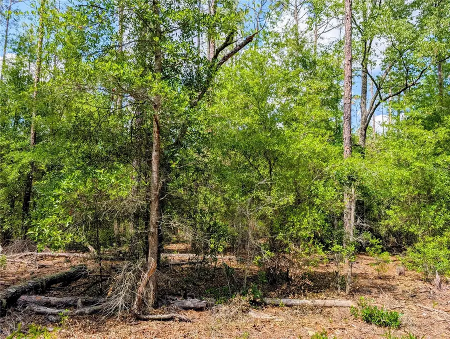 TBD Sw 93rd Lane, Dunnellon, FL 34431 - Image #2
