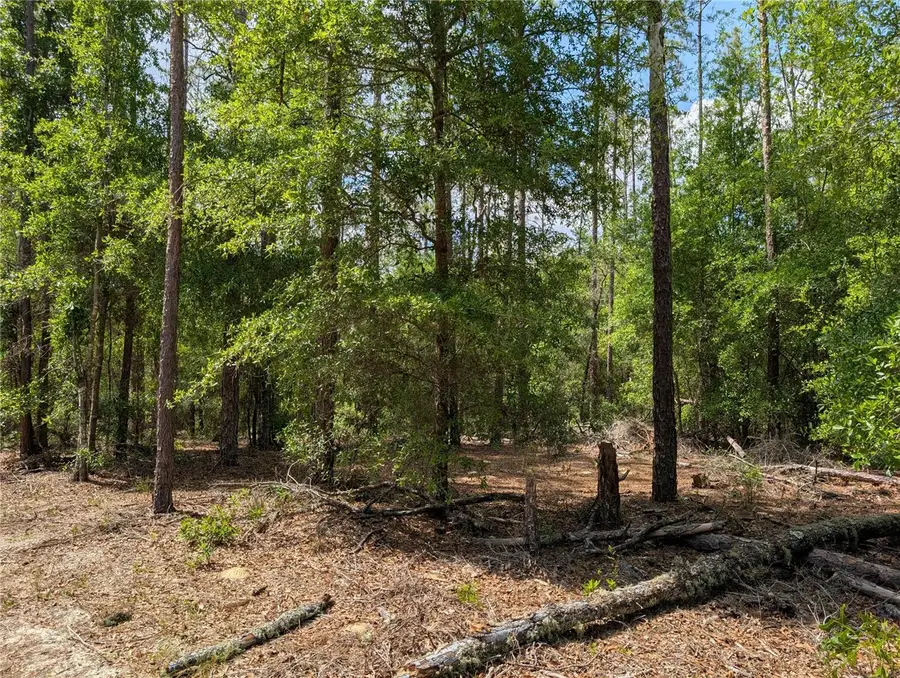 TBD Sw 93rd Lane, Dunnellon, FL 34431 - Image #3