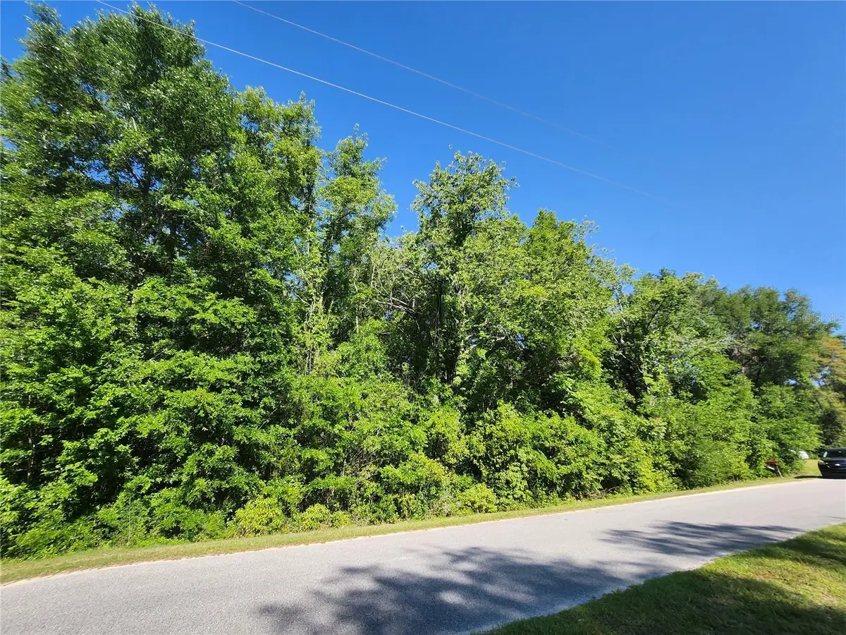 TBD SW Yazoo Court, Dunnellon, FL 34431 - Image #1