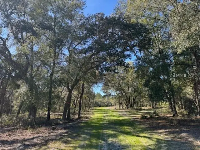 NE 150th Ave Road #LOT 5, Fort McCoy, FL 32134 - Image #1