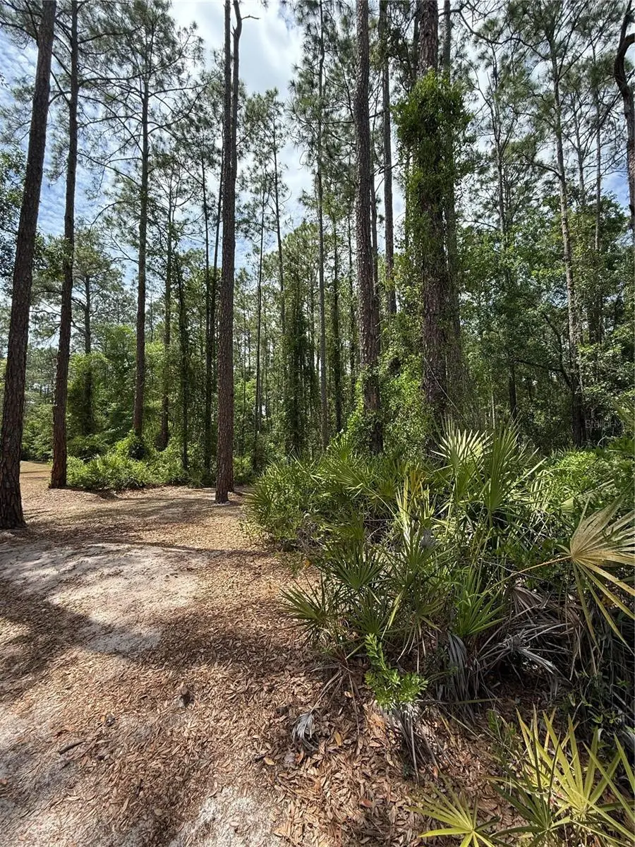 TBD NE 156th Lane, Fort McCoy, FL 32134 - Image #2