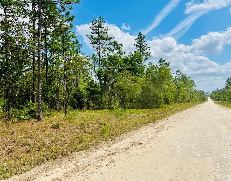 0000 NE 131 Terrace Terrace, Williston, FL 32696 - Image #3