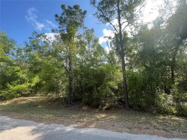 TBD Sequoia Drive #Lot  16, OCKLAWAHA, FL 32179