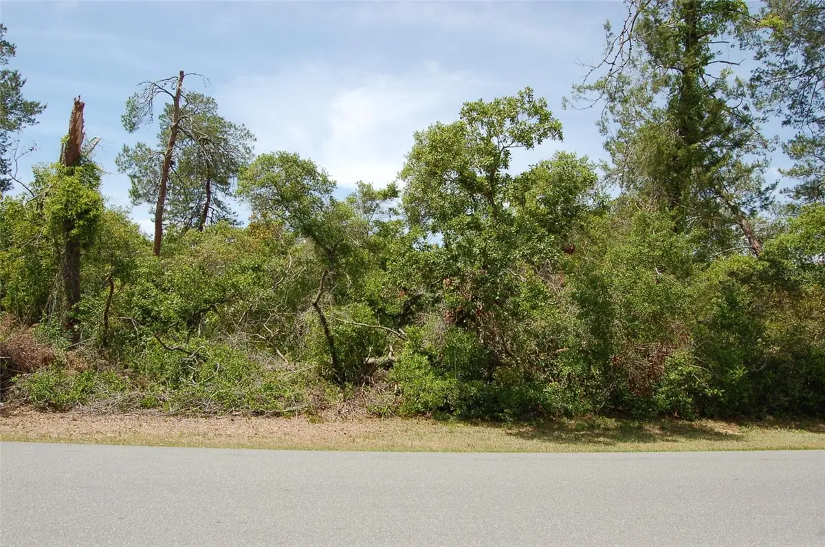 TBD SW 41 Circle #6, Ocala, FL 34473 - Image #1