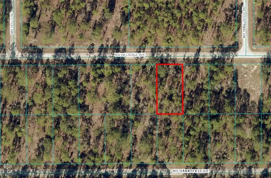 Lot 15 NW Hillsdale Avenue, Dunnellon, FL 34431 - Image #2