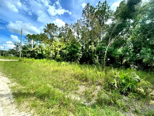00 SW 16th Place, OCALA, FL 34481