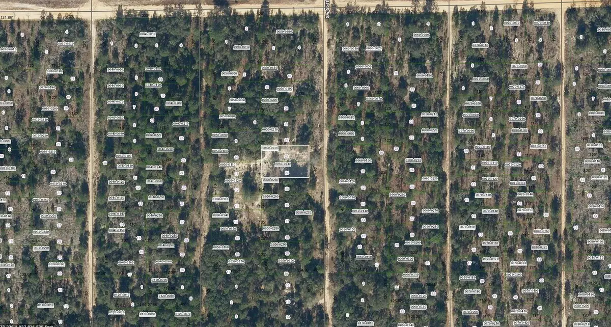 00 SW 55th Avenue, Interlachen, FL 32148 - #1