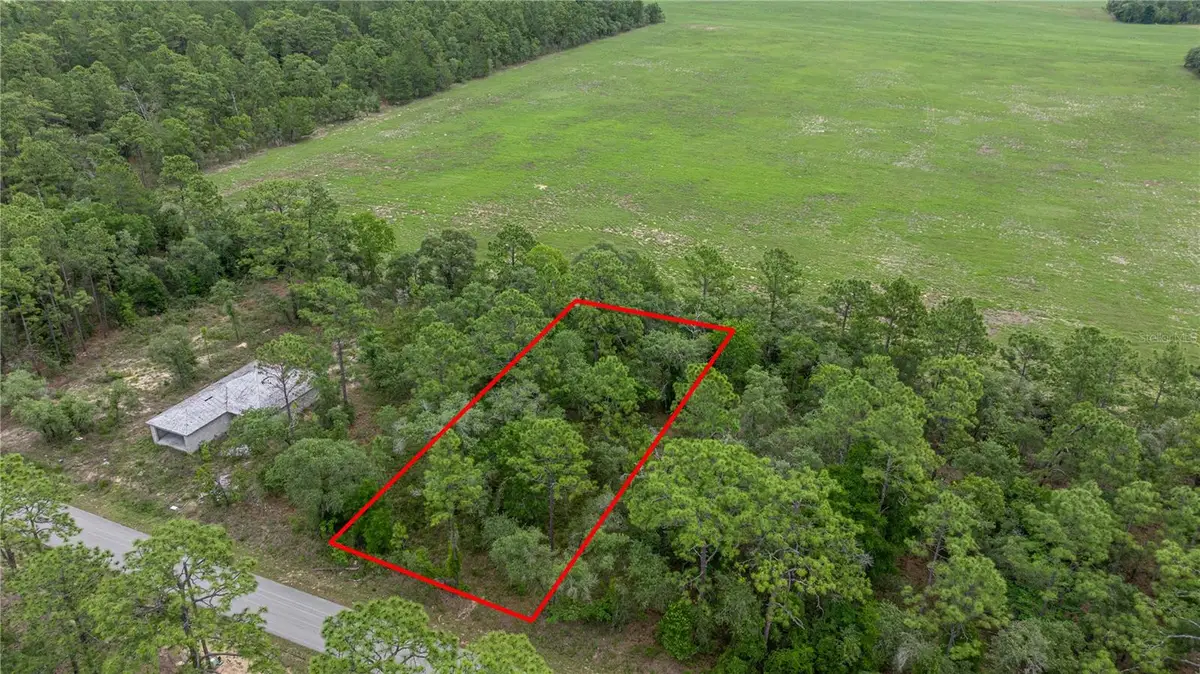 BLK 25 LOT 16 NW Buena Vista Road, Dunnellon, FL 34431 - #1