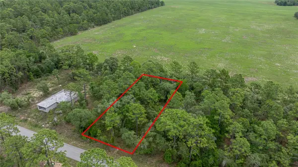 BLK 25 LOT 16 NW Buena Vista Road, DUNNELLON, FL 34431