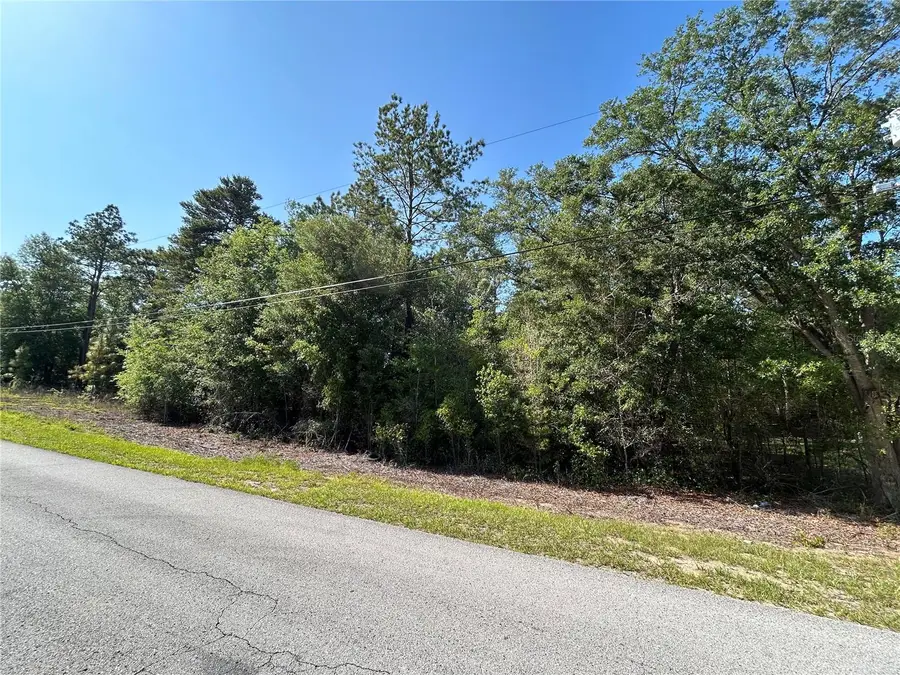 TBD SW Audubon Avenue, Dunnellon, FL 34432 - #2