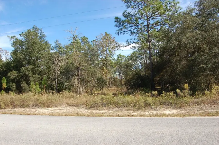 Lombardy Lane, Dunnellon, FL 34431 - #3