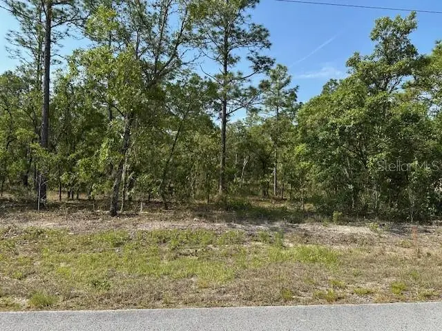 Lot 20 SW Anchor Blvd, Dunnellon, FL 34431 - #2