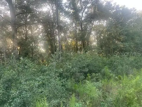 Lots 2 & 3 SW 156 Avenue, OCALA, FL 34481