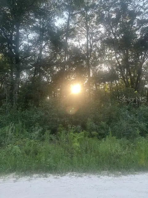 Lots 2 & 3 SW 156 Avenue, Ocala, FL 34481 - Image #2