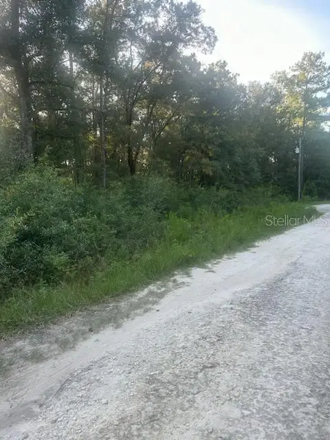 Lots 2 & 3 SW 156 Avenue, Ocala, FL 34481 - Image #3