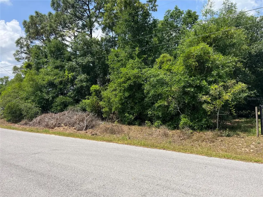 TBD SE 98th Court, Summerfield, FL 34491 - #2