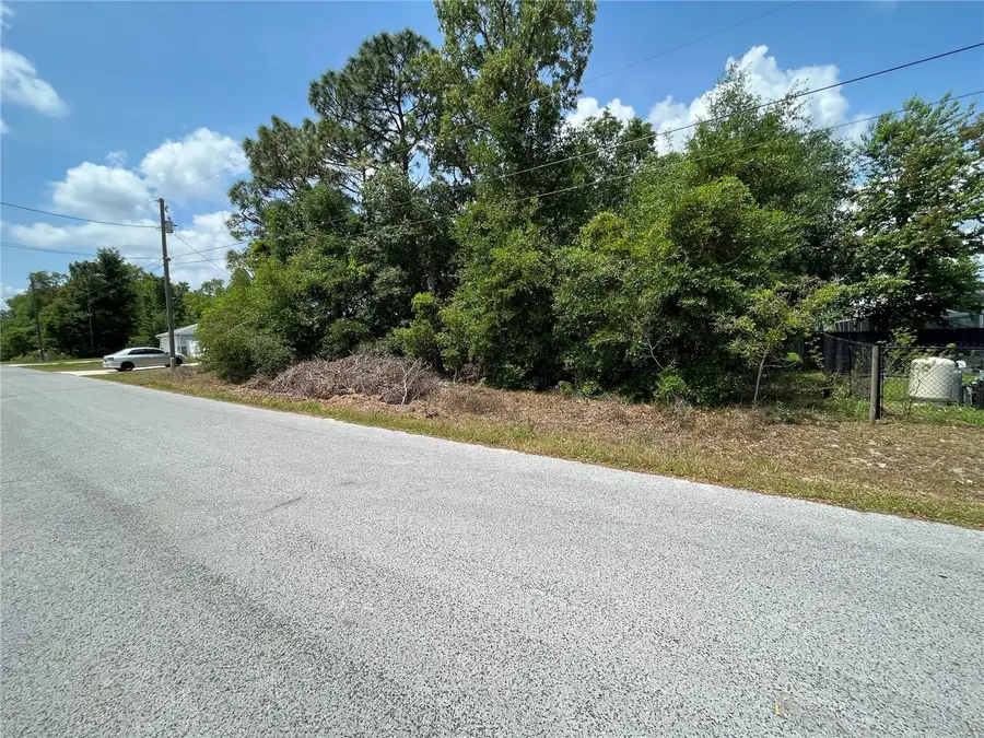 TBD SE 98th Court, Summerfield, FL 34491 - #3