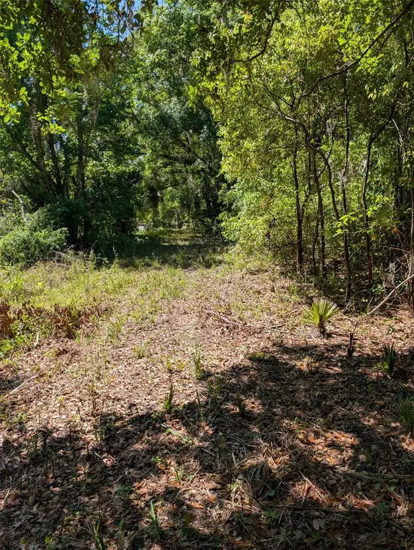 0 NW 202nd Place, MC INTOSH, FL 32664