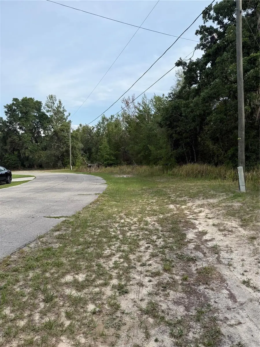 TBD Sw 128th Place, Ocala, FL 34473 - #1