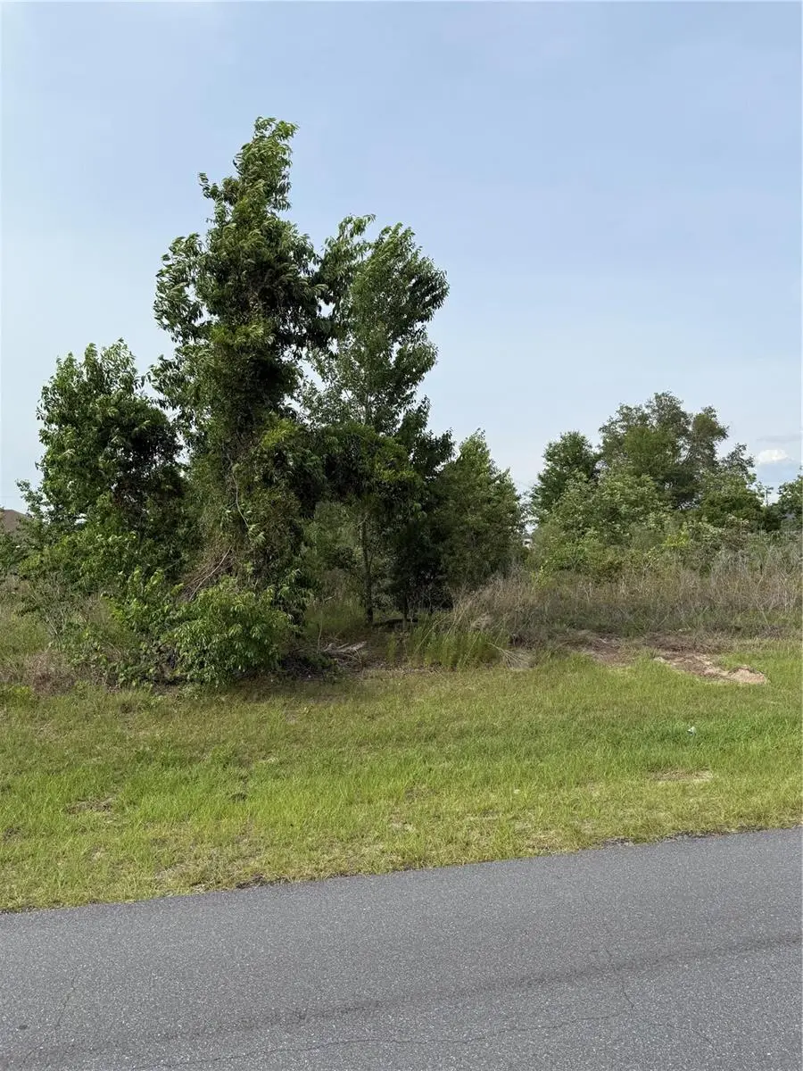 TBD SW 129th Lane, Ocala, FL 34473 - #1