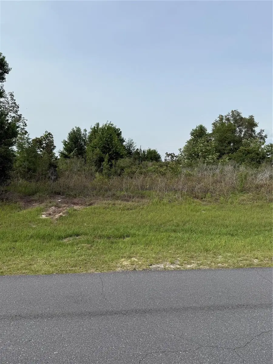 TBD SW 129th Lane, Ocala, FL 34473 - #3