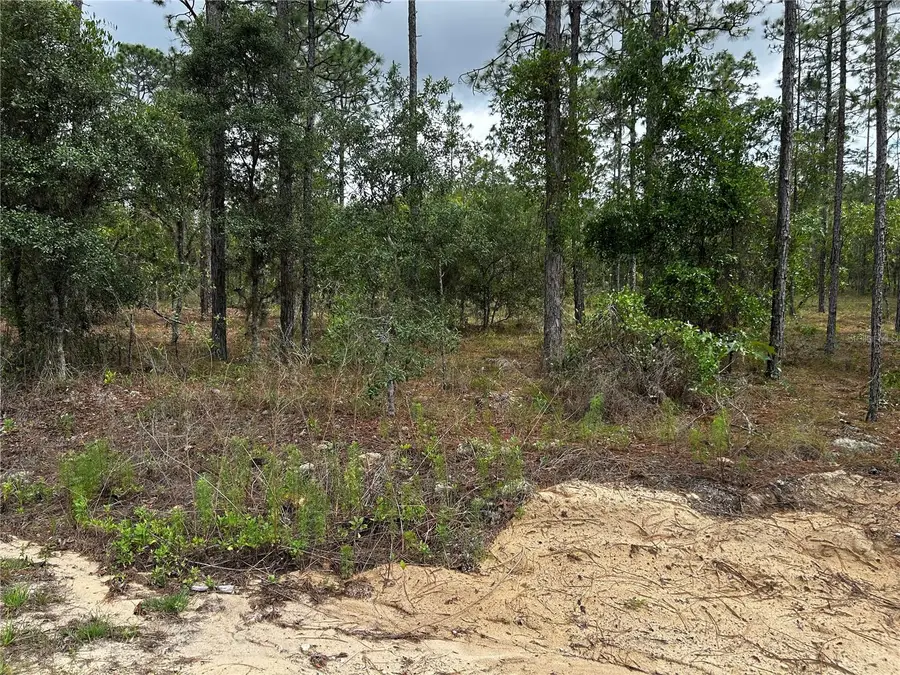 TBD NW Foxglove Lane, Dunnellon, FL 34431 - #2