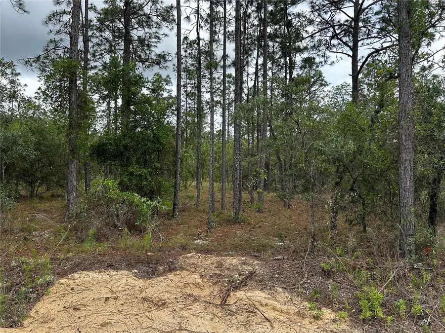 TBD NW Foxglove Lane, Dunnellon, FL 34431 - #3