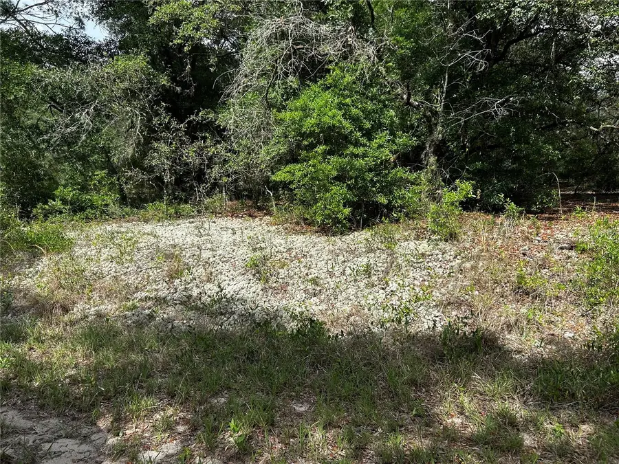 TBD Uplands Avenue, Dunnellon, FL 34431 - #2