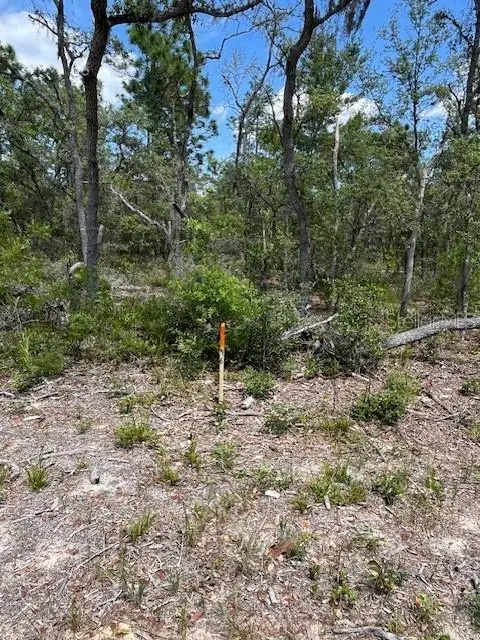 TBD SW 57th Avenue #46 & 47, Interlachen, FL 32148 - #1