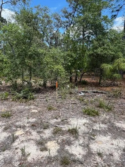 TBD SW 57th Avenue #46 & 47, Interlachen, FL 32148 - #2