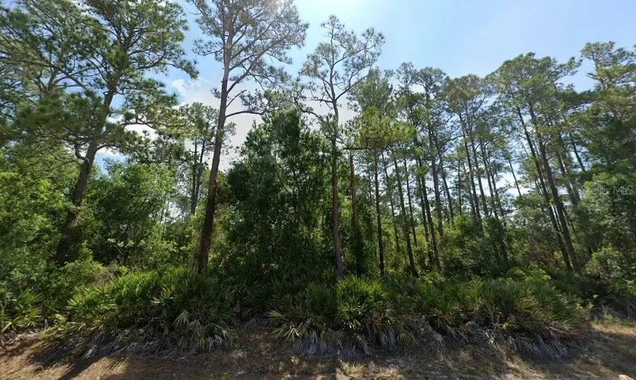 6509 Dian Avenue, Sebring, FL 33875 - #2