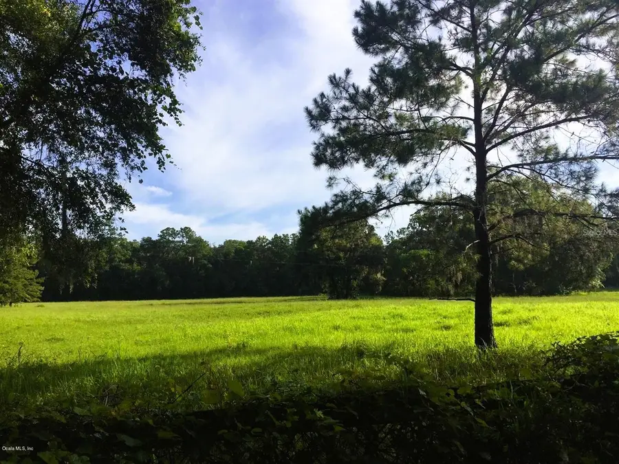 5201 W Highway 329, Reddick, FL 32686 - Image #2