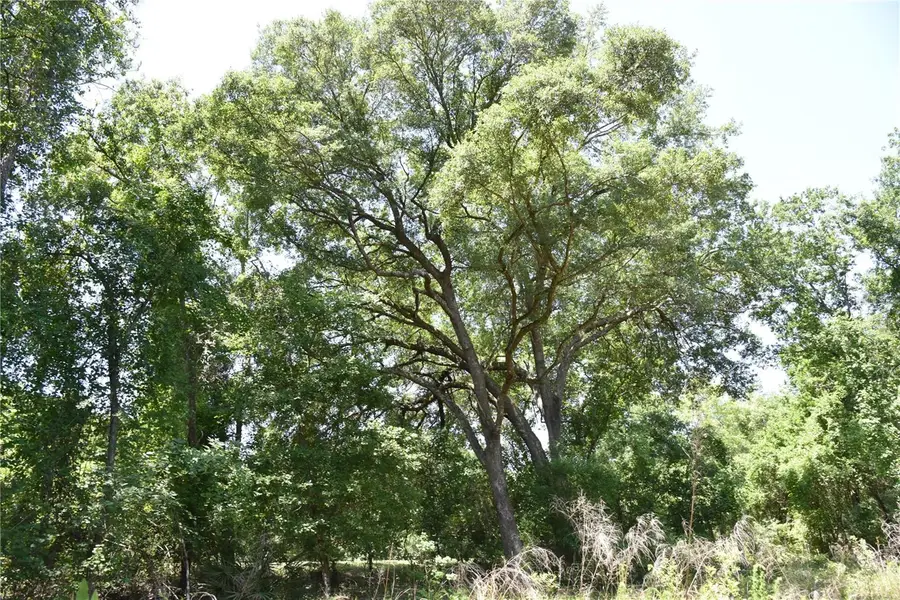 21312 NE 69th Place, Melrose, FL 32666 - Image #2