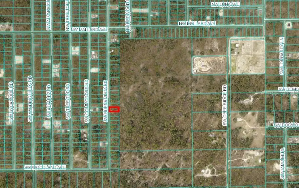 0 SW Buena Vista Road, Dunnellon, FL 34431 - #1