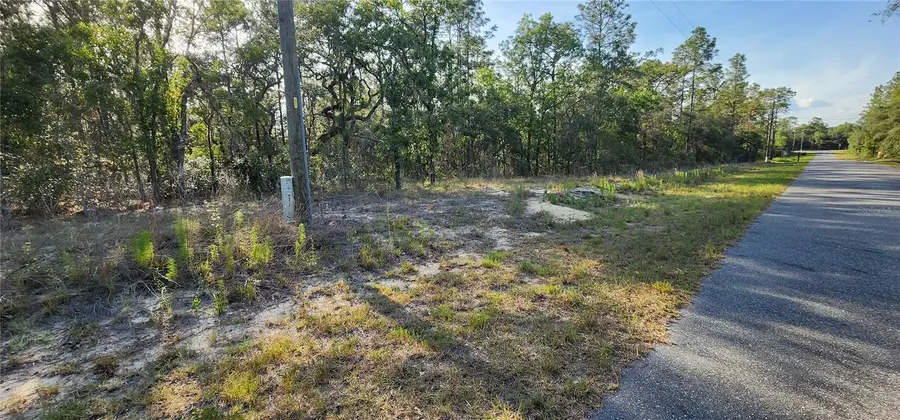 Lots 6 and 7 SW Hillcrest Avenue, Dunnellon, FL 34431 - #2